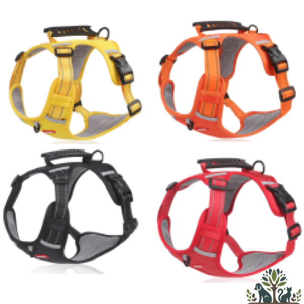 רתמת בד עם ידית במגוון צבעים מידה L