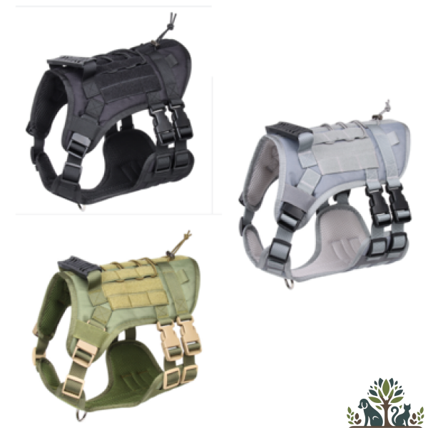 רתמת גוף טקטית במגוון צבעים מידה L