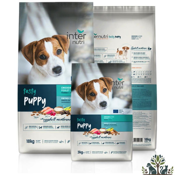אינטרנוטרי טייסטי אינרג'י לכלב בוגר 18 ק"ג internutri