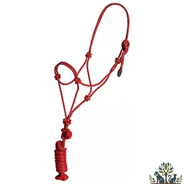 ראשיית בית מחבל+חבל בצבע אדום
