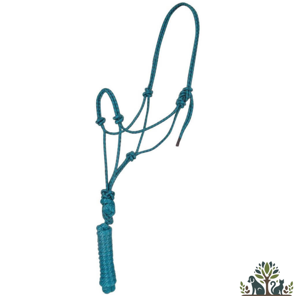 ראשיית בית מחבל+חבל צבע כחול