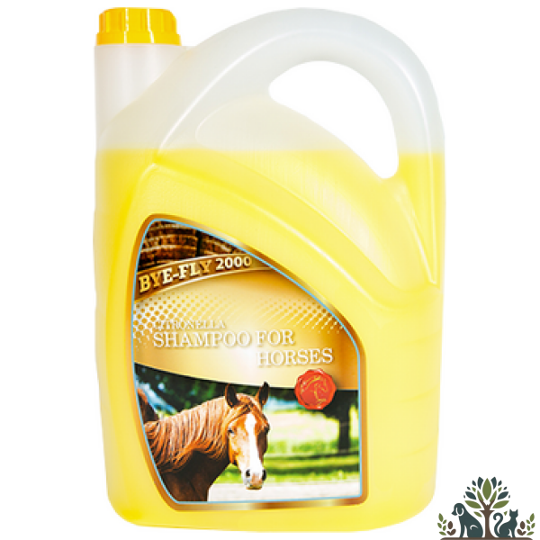 שמפו צהוב גלון ציטרונלה