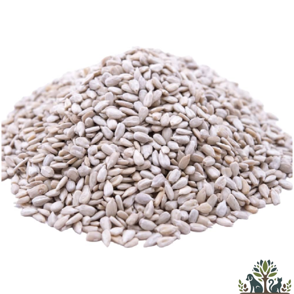 חמנייה 20    קג