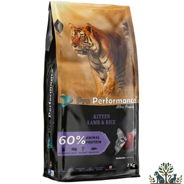 פרו פרפורמנס כבש 2 ק"ג לגורי חתולים