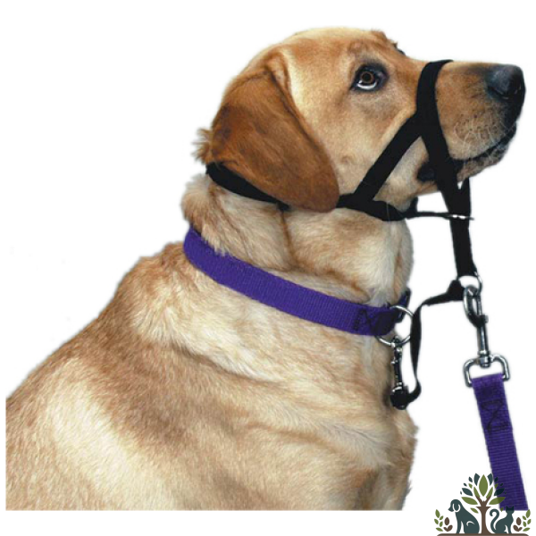 מחסום גומי עם רתמת ראש 4