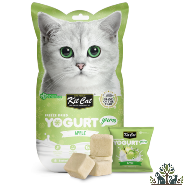חטיף יוגורט בטעם תפוח 10 גרם קיט קט | KIT CAT