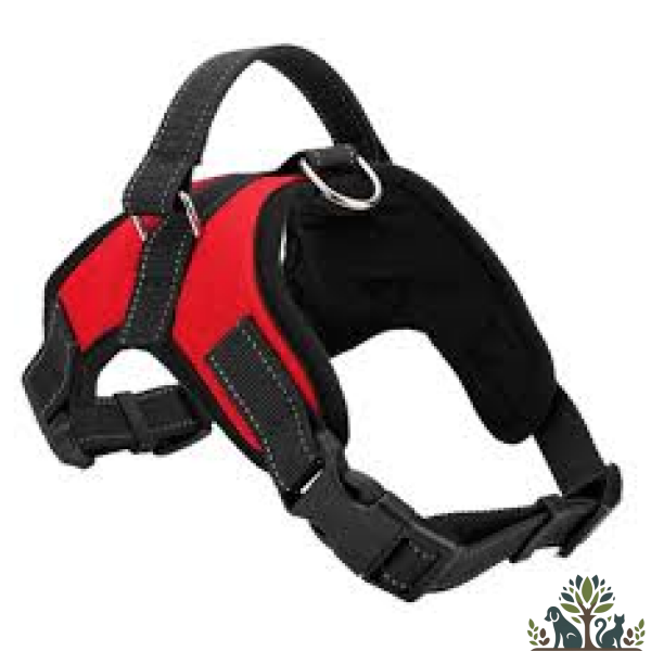 רתמת ספורט ניילון S שחור אדום