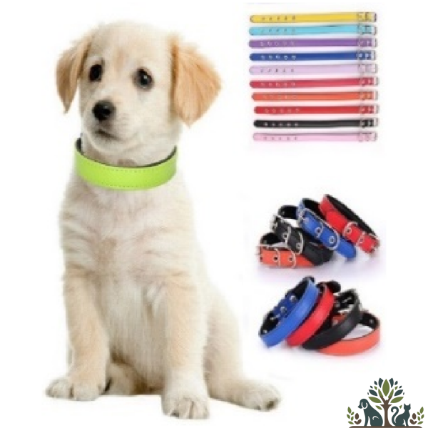 קולר לכלב במגוון צבעים ומידות (S)