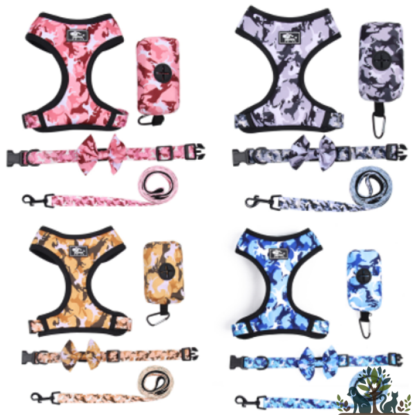 סט הליכה לכלב מעוצב- 4 חלקים (M)