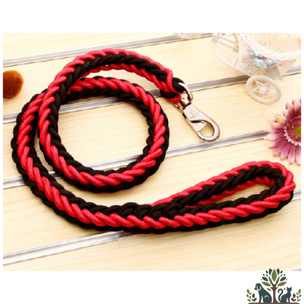 רצועת הולכה קלועה במגוון צבעים