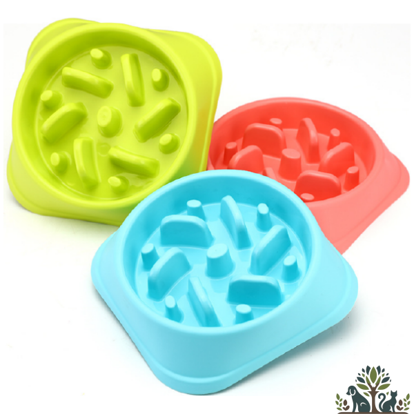 קערת האכלה איטית