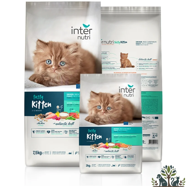 סופר פרימיום Internutri tasty לחתלתול קיטין 7.5 ק"ג