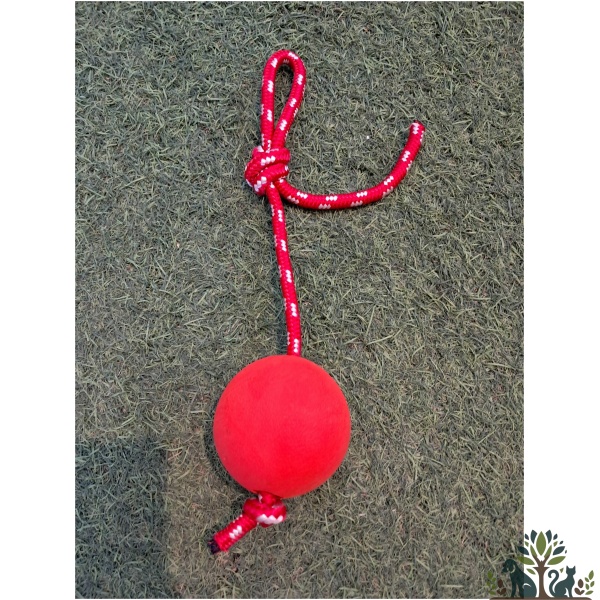 משחק כדור גומי דחוס עם חבל