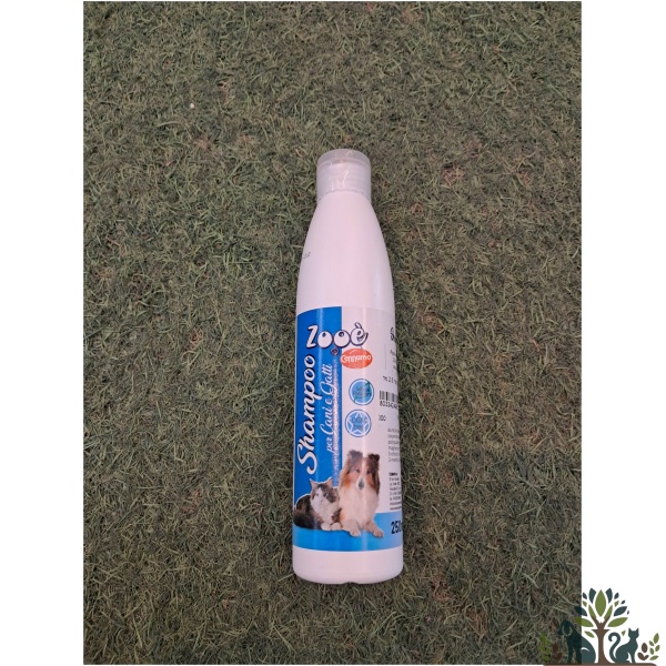 זואי שמפו אוניברסלי 2.5 מל