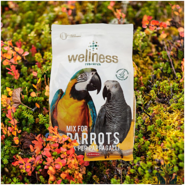 מזון מלא לתוכים גדולים 2.5 ק"ג