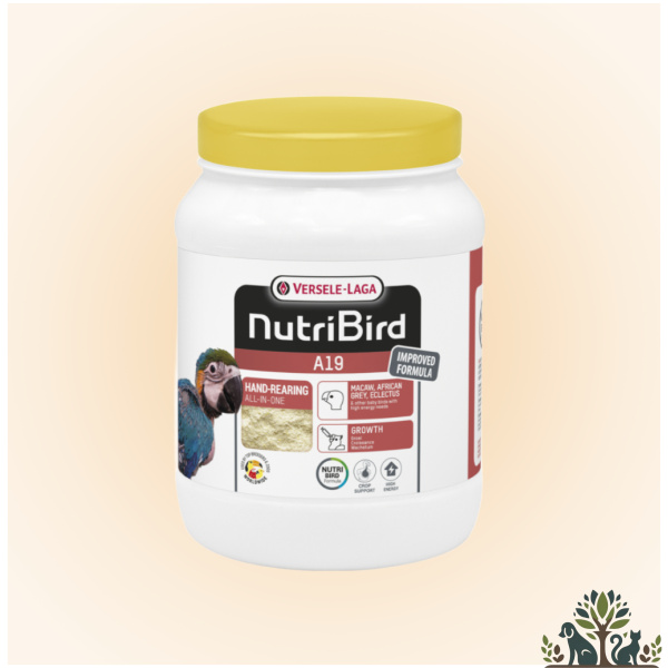 דייסה האכלת יד A19 תוכי גדול 800 גרם בקופסה