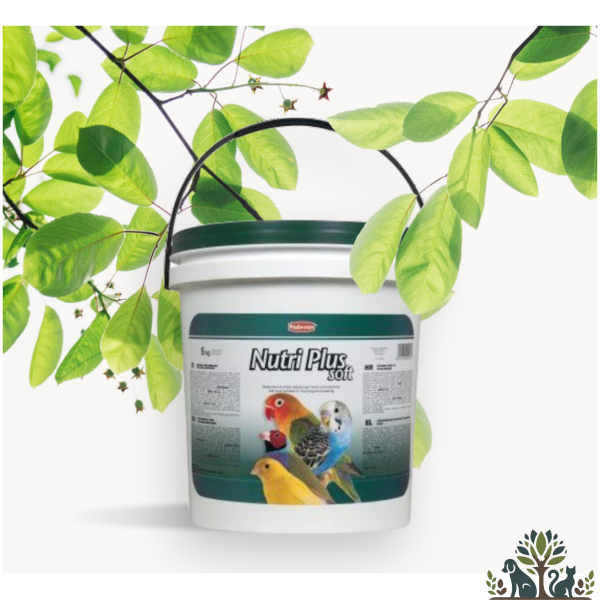 מזון לביצים 5 ק"ג