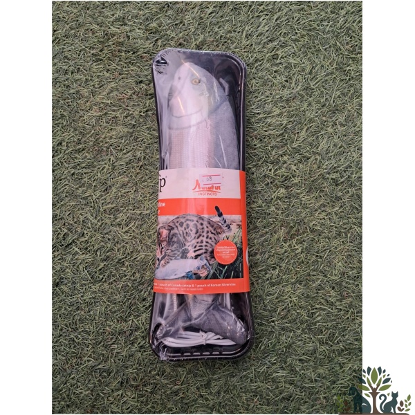 AFP משחק חתול דג פורל רוקד עם קטניפ