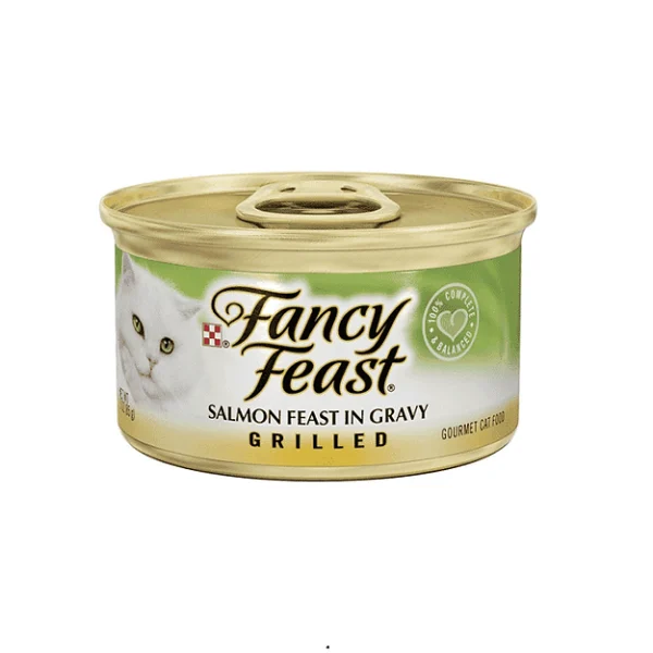 פנסי פיסט גריל סלמון ברוטב