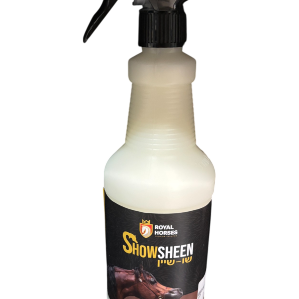 שו שיין ספרי ברק ולחות