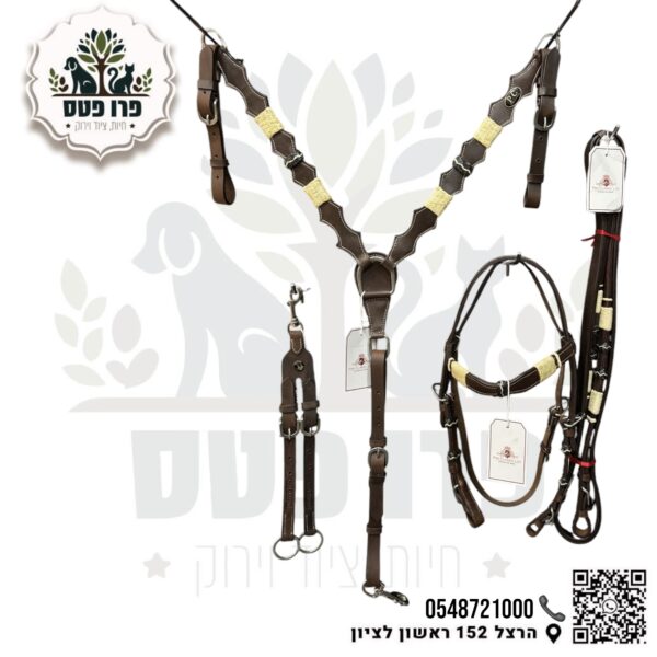 ראשית משולבת בין רסן ורצעות הולכה לסוס