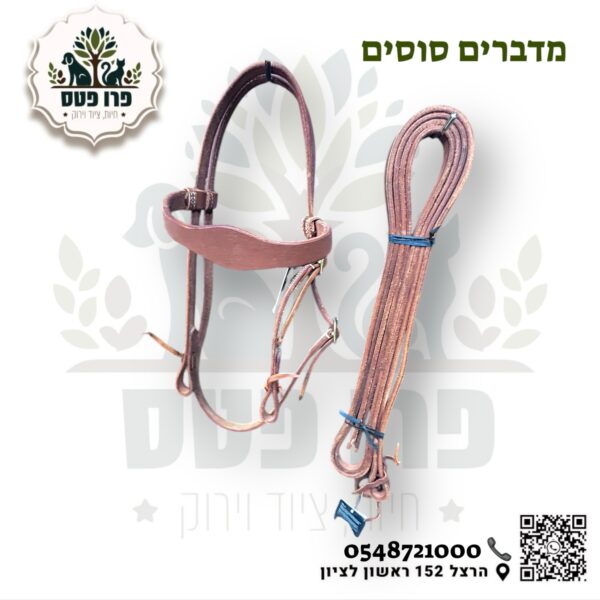 ראשיית רכיבה