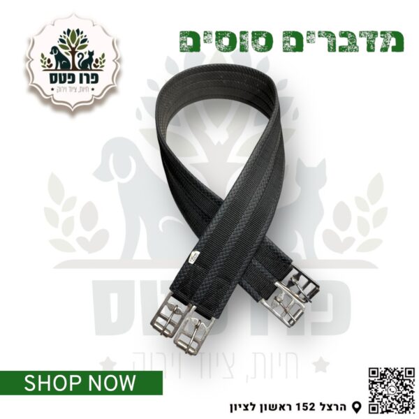 חגורה בטן אינגליש