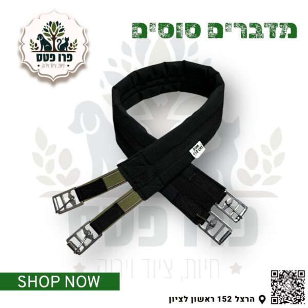 חגורה אוכף ספורט