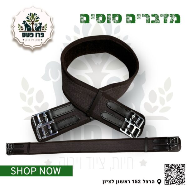 חגורה אוכף ספורט