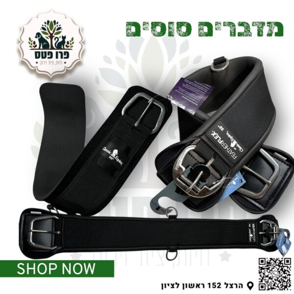 חגורה בטן מיקסיקני