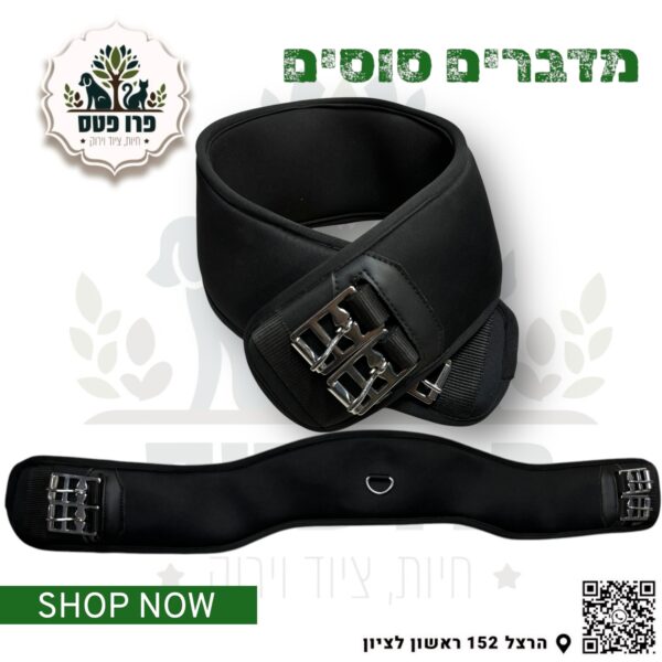 חגורה בטן אינגליש