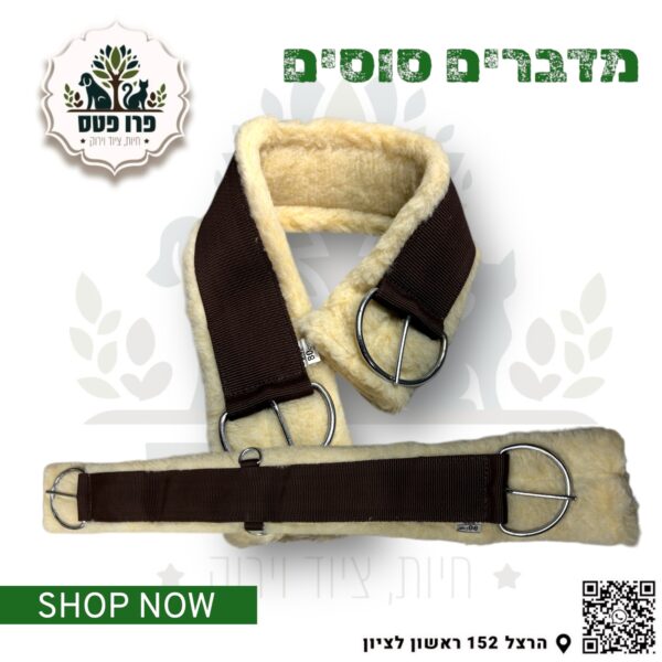 חגורה בטן מיקסיקני