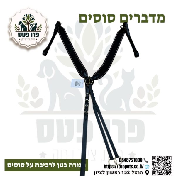 חייזה עם מרתינגל אנגלש