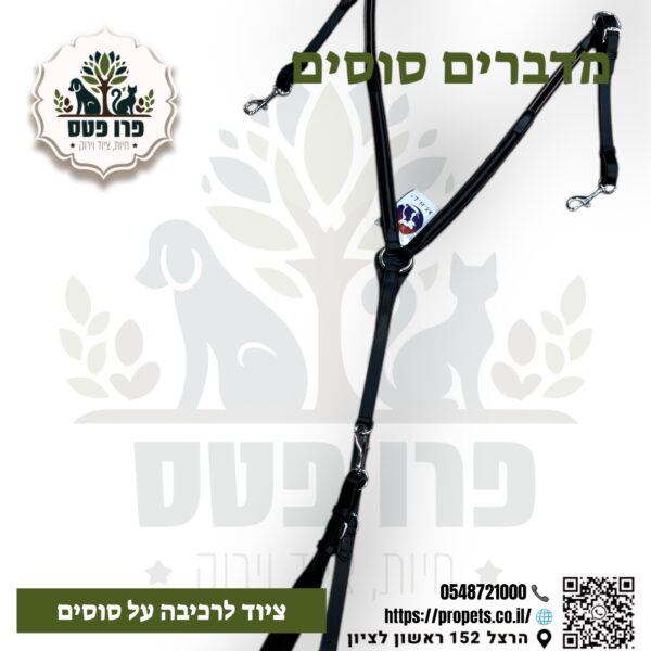 חזייה אינגליש