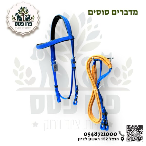 ראשיית רכיבה פלוס מושכות  גומי