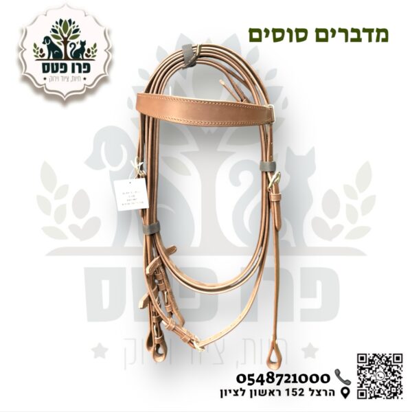 ראשיית  רכיבה