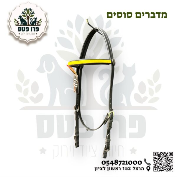 רשאיית רכיבה ביוטין