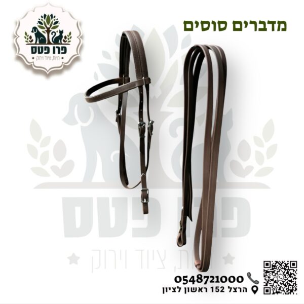 ראשיית רכיבה ביוטין