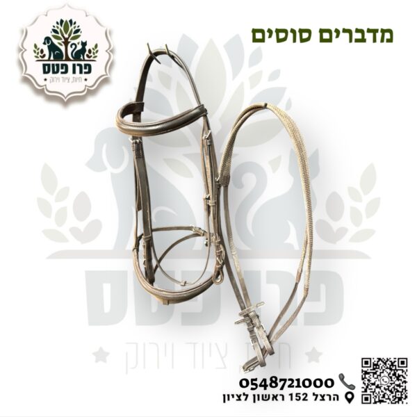 ראשיית רכיבה אינגליש