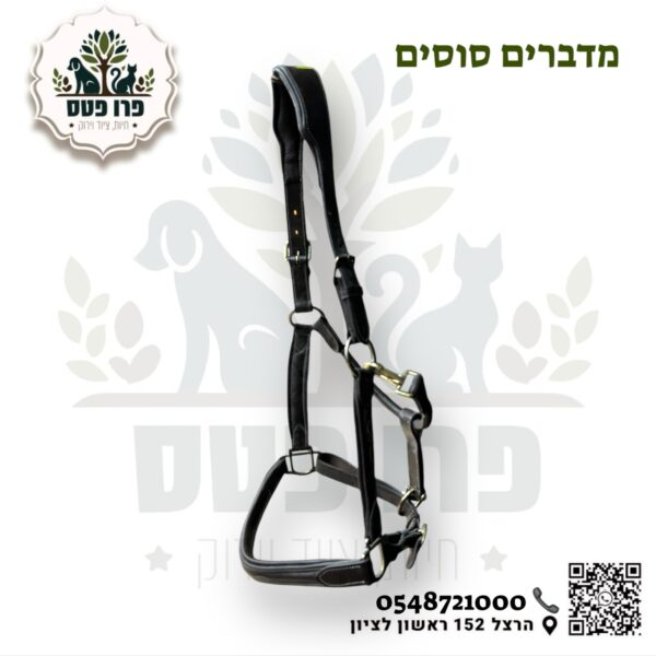 ראשיית בית מעור