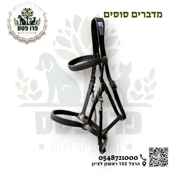 ראשיית בית עם רכיבה משולבת