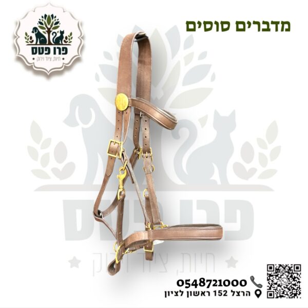 ראשיית בית עם רכיבה משולבת