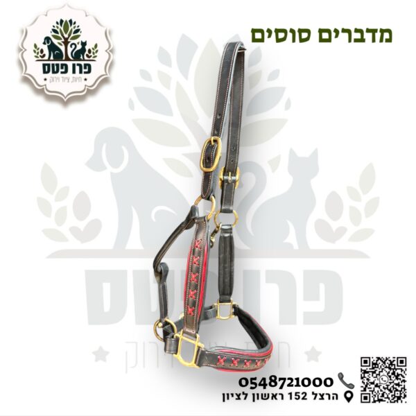 ראשיית בית מעור