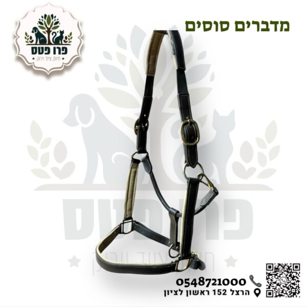 ראשיית בית עור