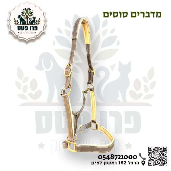 ראשיית בית מעור