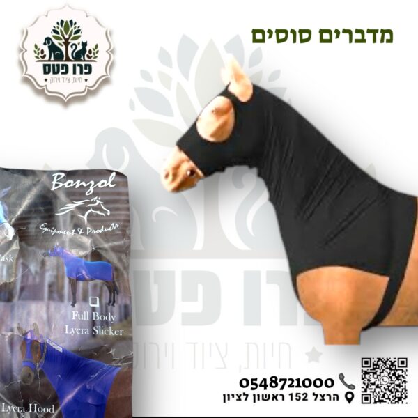 הוד לסוס  חצי