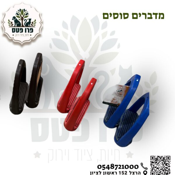 ארכובת לאוכף ספורט