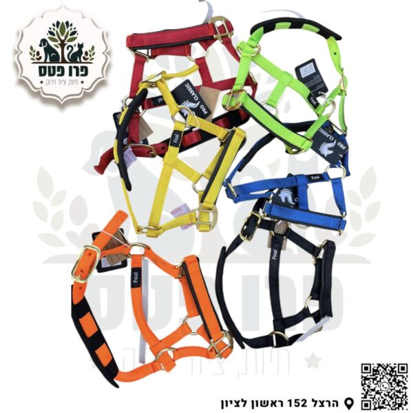 ראשית בית לסוס PRO CLASSIC