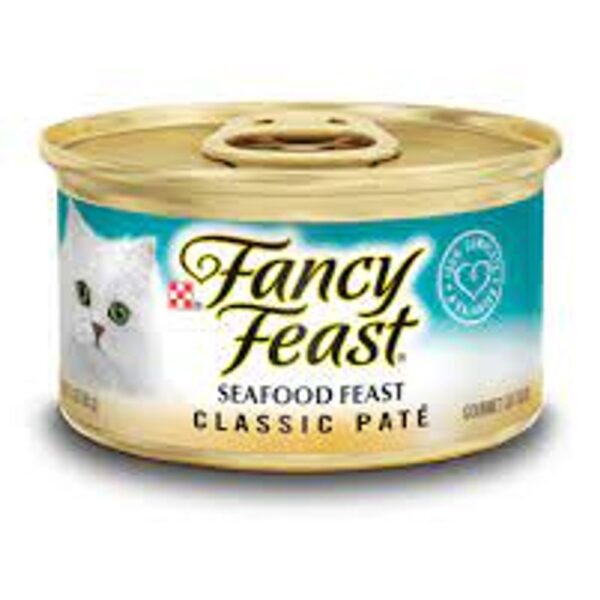 פנסי פיסט מעדן פירת ים